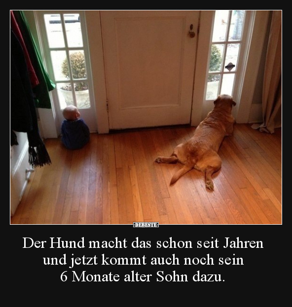 Der Hund macht das schon seit Jahren und jetzt kommt auch.. - Lustige Bilder | DEBESTE.de