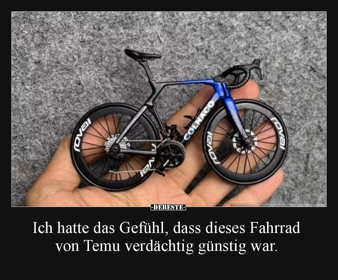 Ich hatte das Gefühl, dass dieses Fahrrad von Temu verdächtig günstig war.