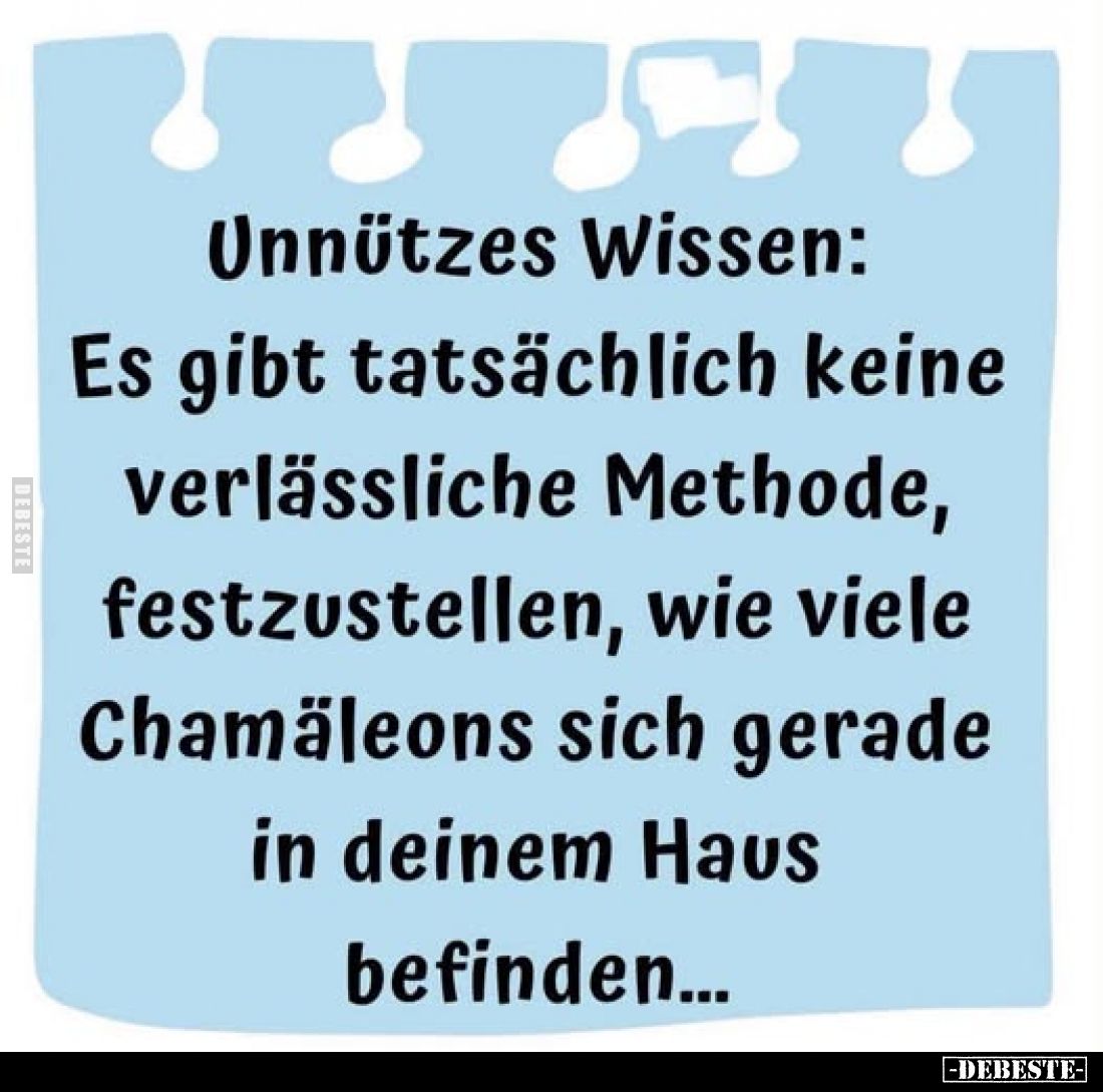 Unnützes Wissen:
Es gibt tatsächlich keine verlässliche Methode, festzustellen, wie viele Chamäleons sich gerade in deinem H...