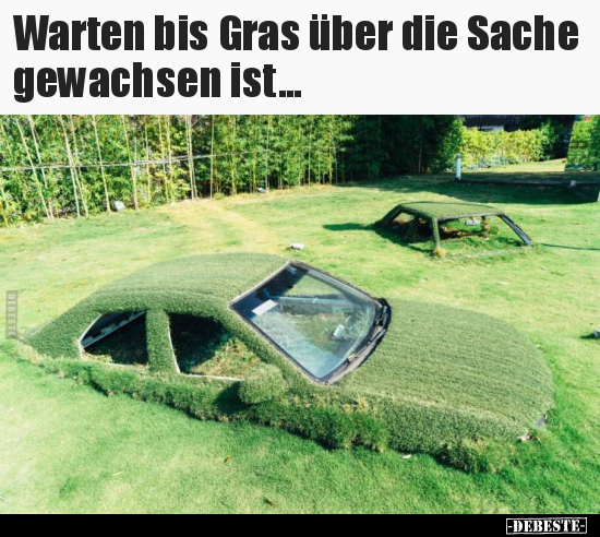Warten bis Gras über die Sache gewachsen ist... - Lustige Bilder | DEBESTE.de