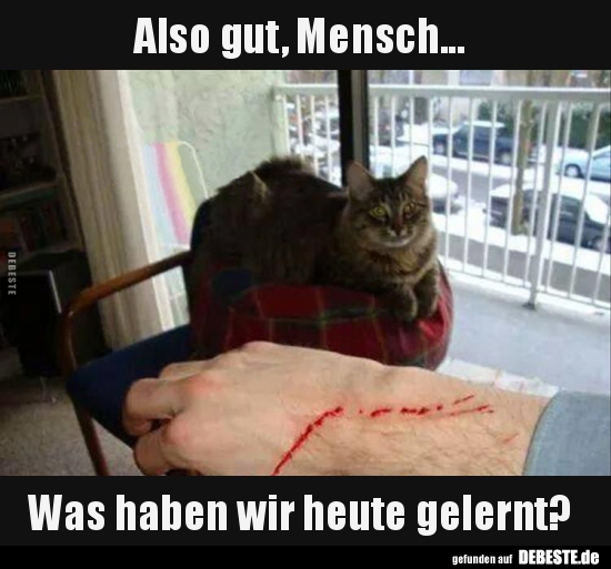 Also gut, Mensch... Was haben wir heute gelernt?..