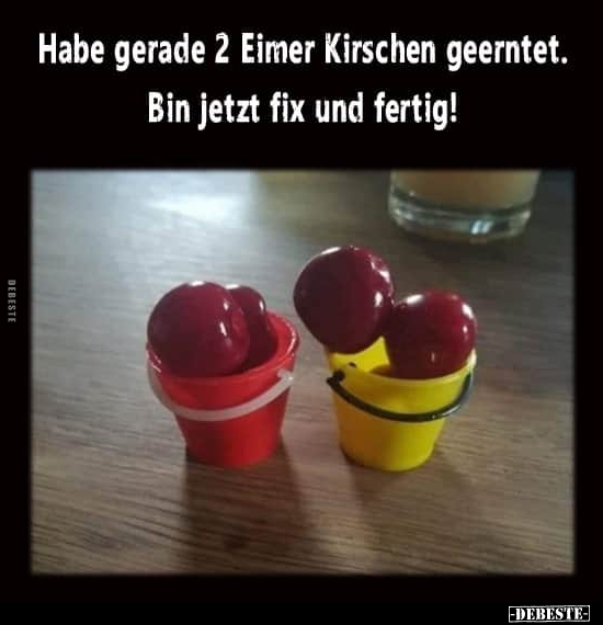 Habe gerade 2 Eimer Kirschen geerntet... - Lustige Bilder | DEBESTE.de