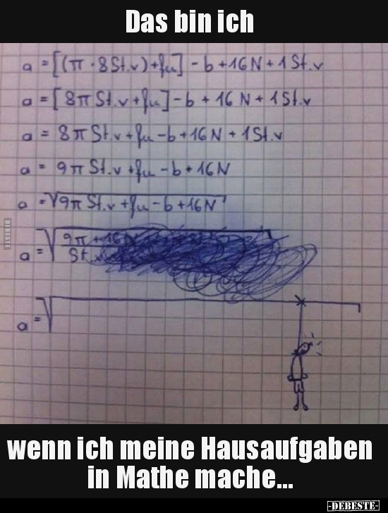 Das Bin Ich Wenn Ich Meine Hausaufgaben In Mathe Lustige Bilder Spruche Witze Echt Lustig