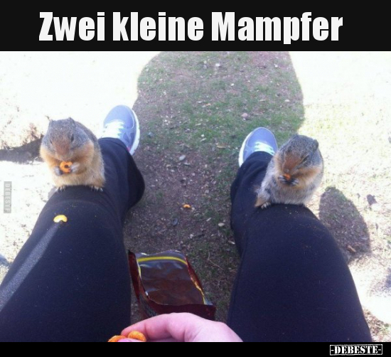 Zwei kleine Mampfer.. - Lustige Bilder | DEBESTE.de