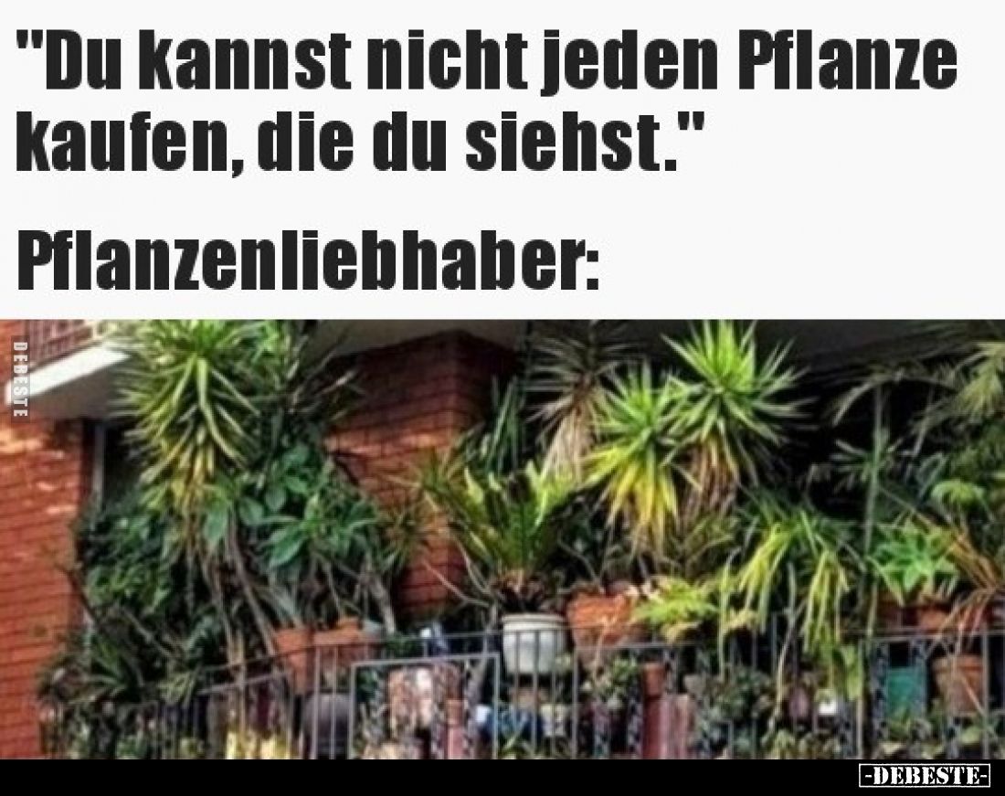 „Du kannst nicht jede Pflanze kaufen, die du siehst.”
Pflanzenliebhaber: