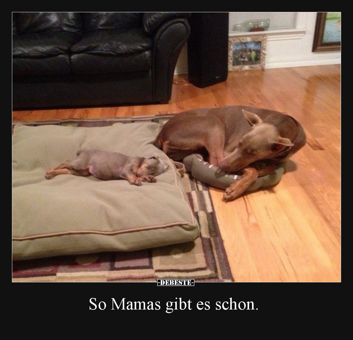 So Mamas gibt es schon.