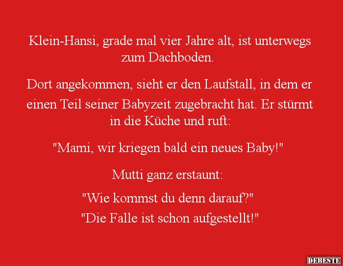 Klein-Hansi, grade mal vier Jahre alt, ist unterwegs zum Dachboden. 

Dort angekommen, sieht er den Laufstall, in dem er ei...