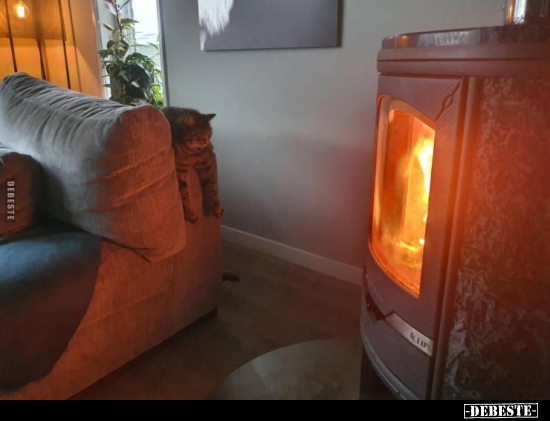  - Lustige Bilder | DEBESTE.de