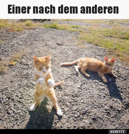 Einer nach dem anderen..