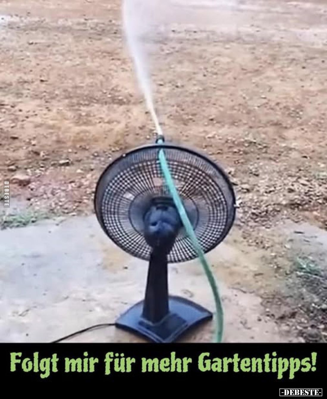 Folgt mir für mehr Gartentipps!