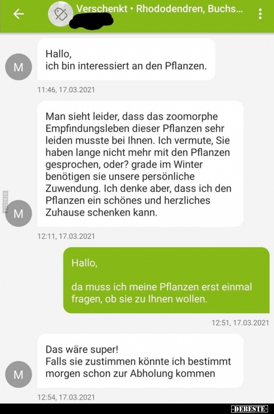 Verschenkt - Rhododendren, Buchs...