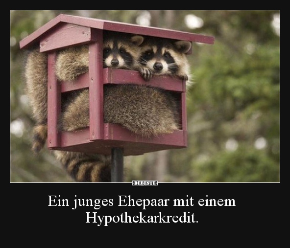 Ein junges Ehepaar mit einem Hypothekarkredit... - Lustige Bilder | DEBESTE.de