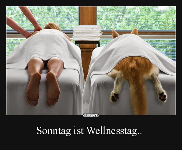 Sonntag ist Wellnesstag.. - Lustige Bilder | DEBESTE.de