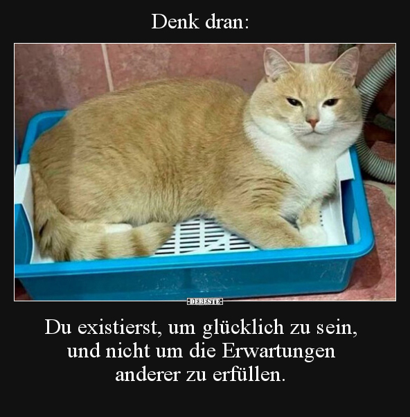 Denk dran: Du existierst, um glücklich zu sein, und nicht.. - Lustige Bilder | DEBESTE.de