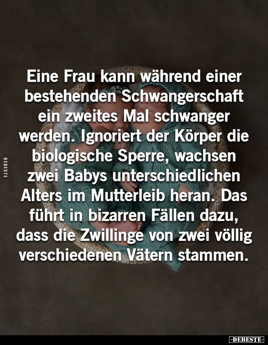 Eine Frau kann während einer bestehenden Schwangerschaft ein zweites Mal schwanger werden. Ignoriert der Körper die biologisc...