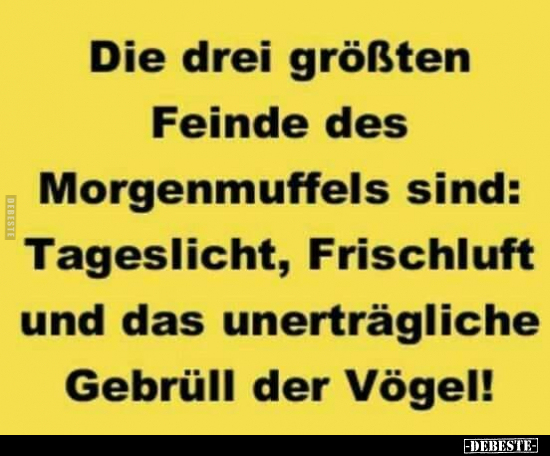 Die drei größten Feinde des Morgenmuffels sind.. - Lustige Bilder | DEBESTE.de