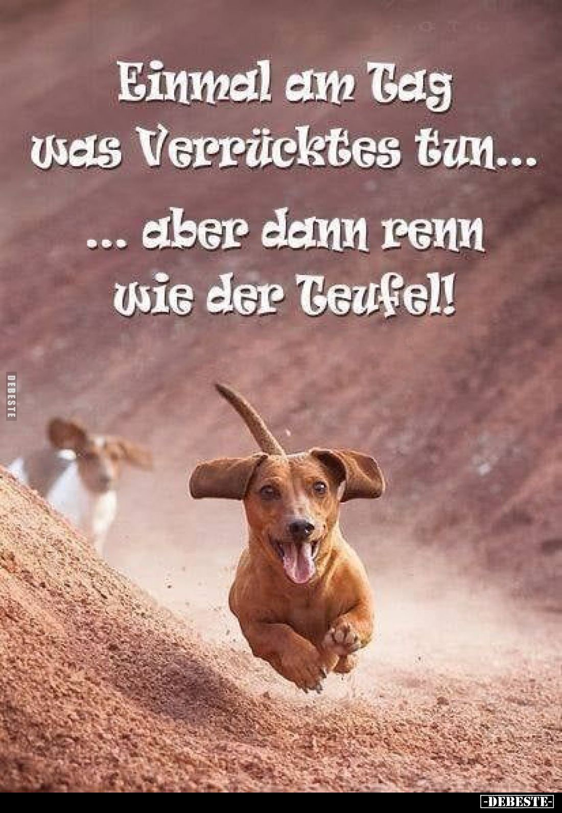 Einmal am Tag was Verrücktes tun...
aber dann renn wie der Teufel!