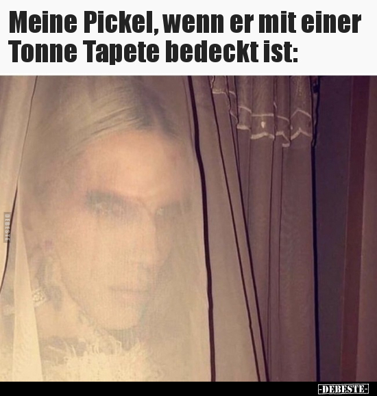 Meine Pickel, wenn er mit einer Tonne Tapete bedeckt.. - Lustige Bilder | DEBESTE.de