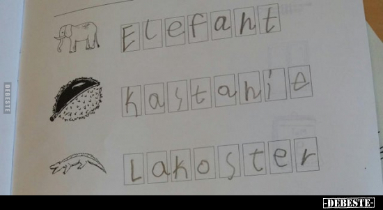 Lakoster