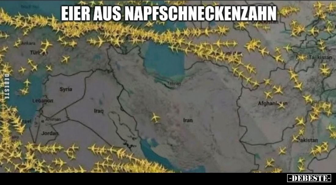 Eier aus Napfschneckenzahn