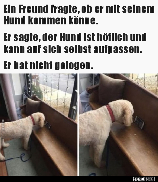 Ein Freund fragte, ob er mit seinem Hund kommen könne...