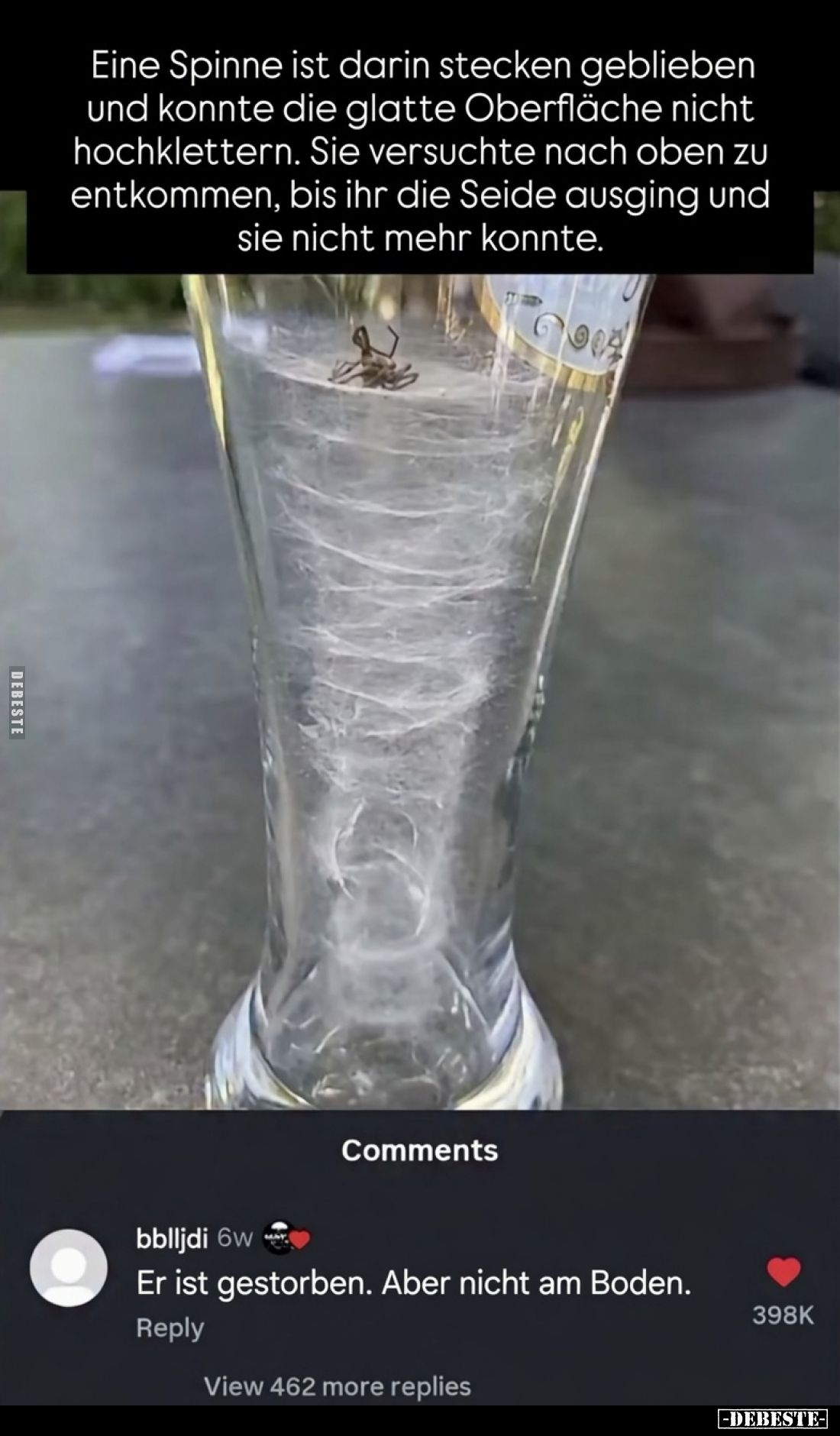 Eine Spinne ist darin stecken geblieben und konnte die glatte Oberfläche nicht hochklettern. Sie versuchte nach oben zu entko...