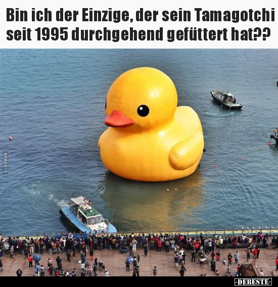 Bin ich der Einzige, der sein Tamagotchi seit 1995..