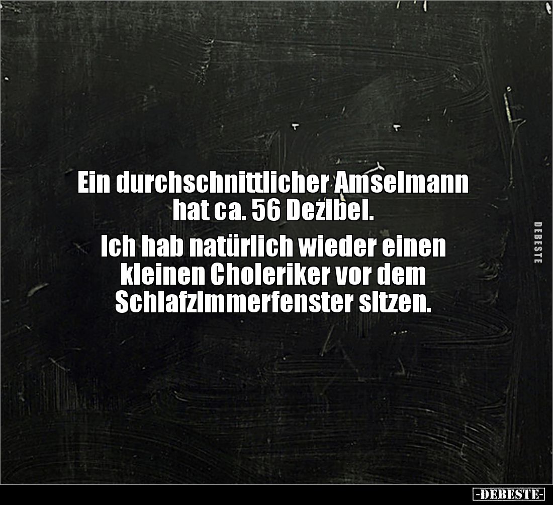 Ein durchschnittlicher Amselmann hat ca. 56 Dezibel... - Lustige Bilder | DEBESTE.de