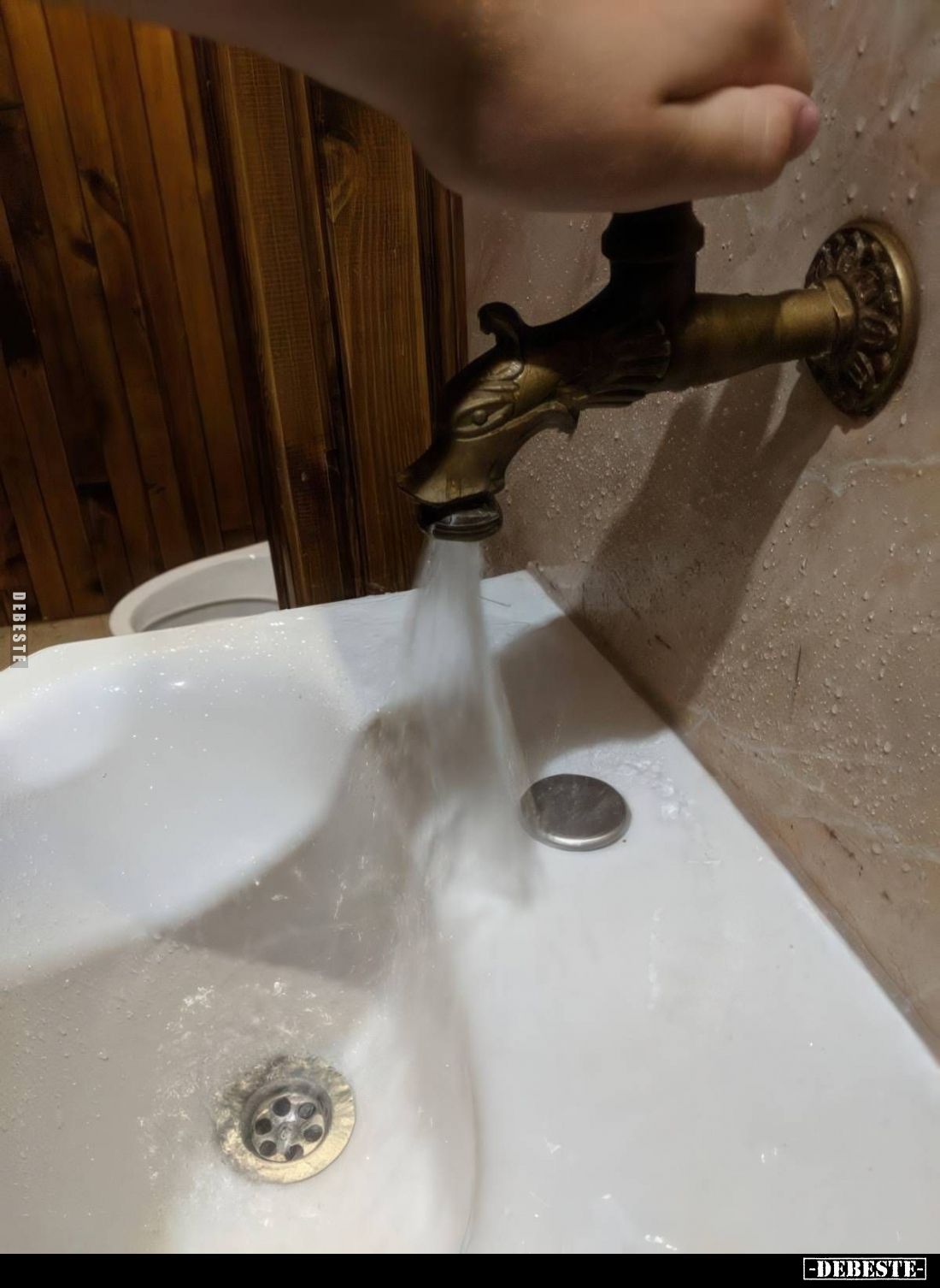 - Lustige Bilder | DEBESTE.de