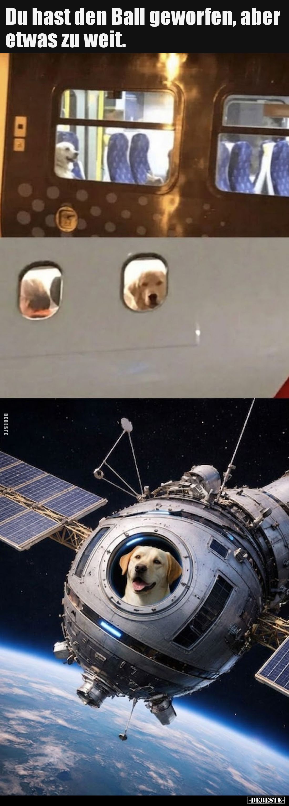 Du hast den Ball geworfen, aber etwas zu weit.