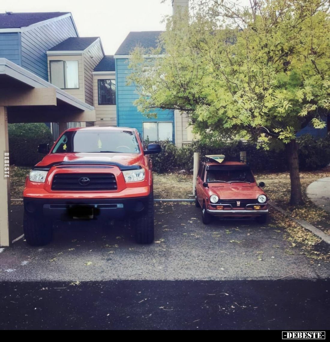  - Lustige Bilder | DEBESTE.de