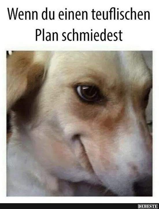 Wenn du einen teuflischen Plan schmiedest..