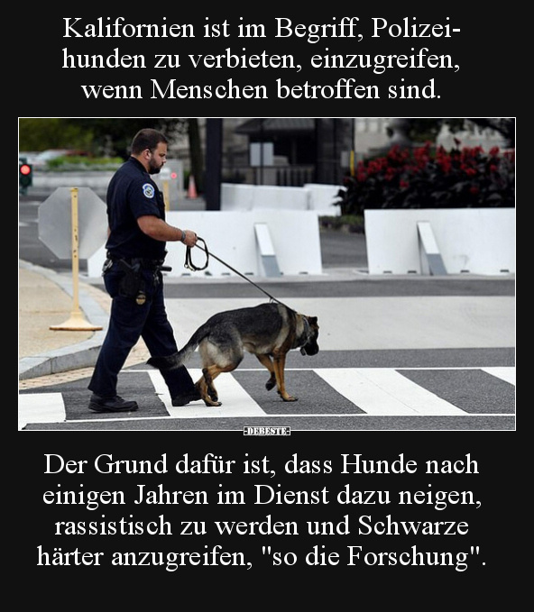 Kalifornien ist im Begriff, Polizeihunden zu verbieten.. - Lustige Bilder | DEBESTE.de
