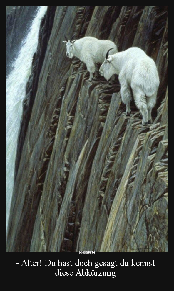 - Alter! Du hast doch gesagt du kennst diese Abkürzung