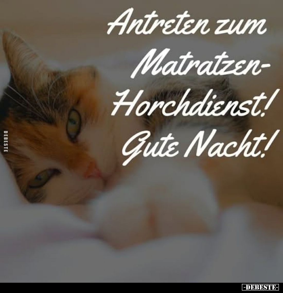 Antreten zum
Matratzen-
Horchdienst!
Gute Nacht!