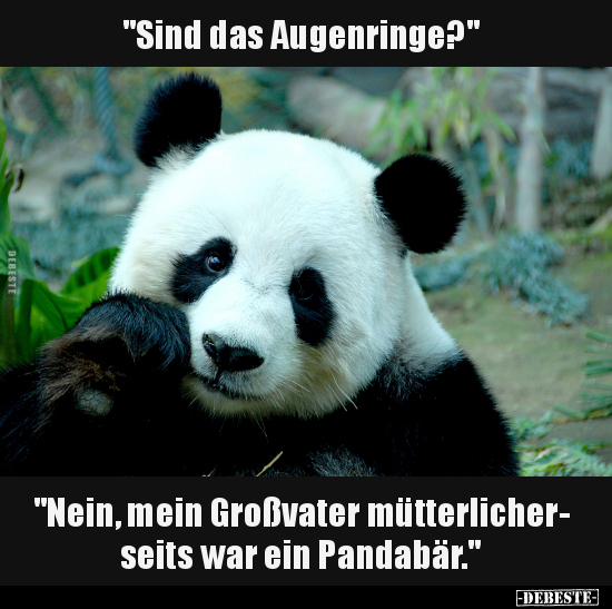 "Sind das Augenringe?".. - Lustige Bilder | DEBESTE.de