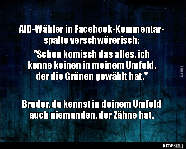 AfD-Wähler in Facebook-Kommentar- spalte verschwörerisch.. - Lustige Bilder | DEBESTE.de