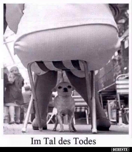 Im Tal des Todes..