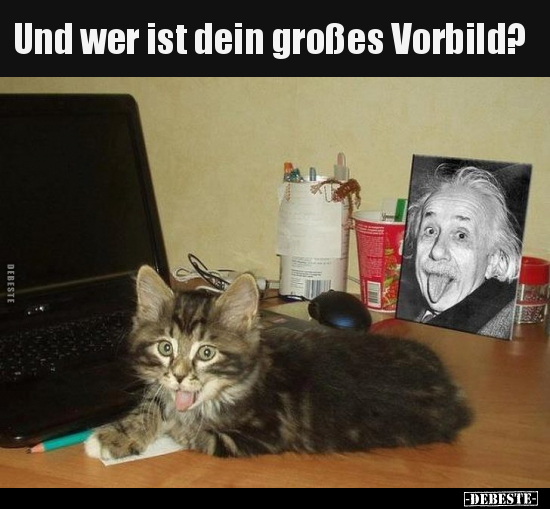 Und wer ist dein großes Vorbild?..