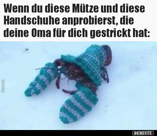 Wenn du diese Mütze und diese Handschuhe anprobierst, die.. - Lustige Bilder | DEBESTE.de