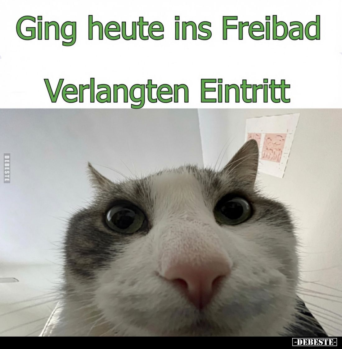 Ging heute ins Freibad - 
Verlangten Eintritt