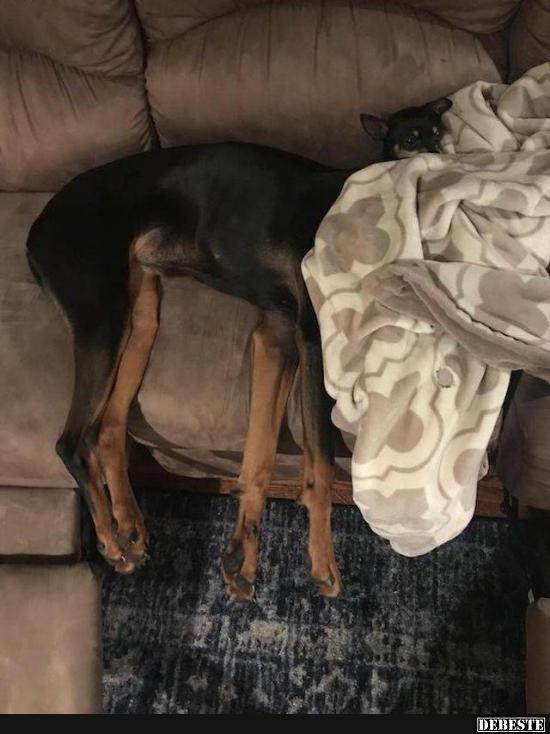 :) - Lustige Bilder | DEBESTE.de