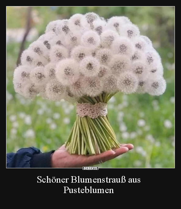 Schöner Blumenstrauß aus Pusteblumen.. - Lustige Bilder | DEBESTE.de