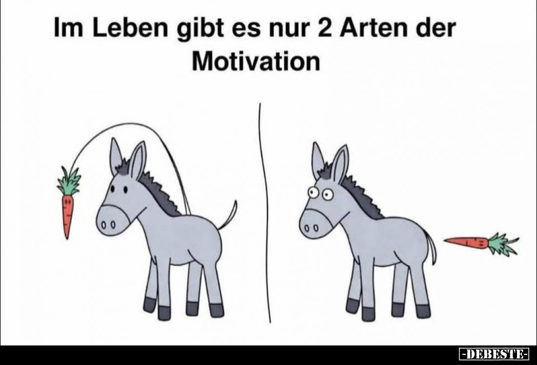 Im Leben gibt es nur 2 Arten der Motivation... - Lustige Bilder | DEBESTE.de