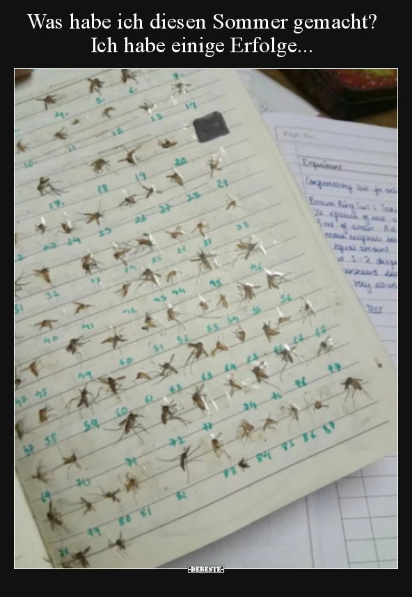 Was habe ich diesen Sommer gemacht? Ich habe einige..
