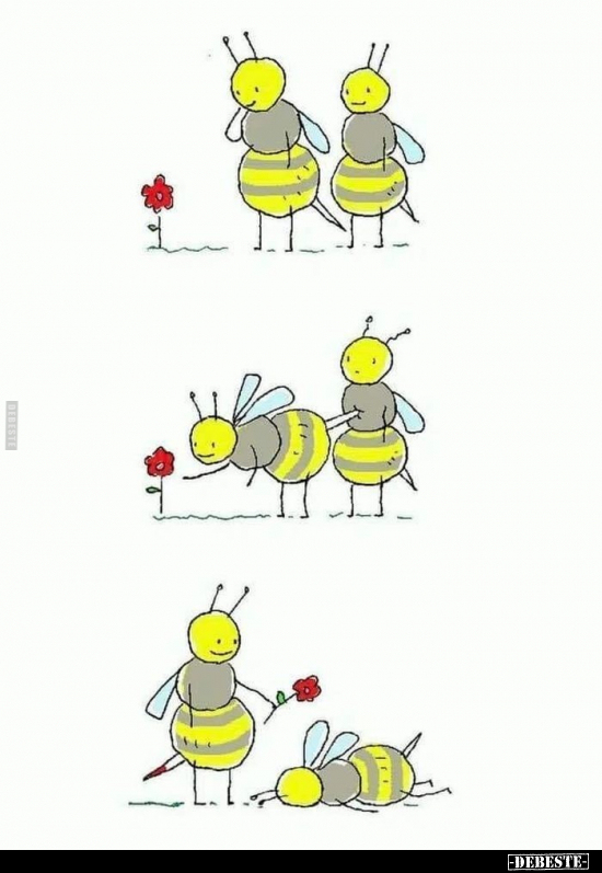  - Lustige Bilder | DEBESTE.de