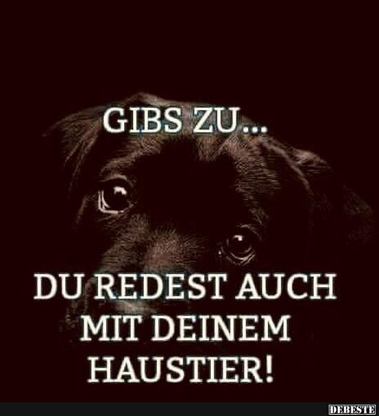 Gibs zu.. DEBESTE.de