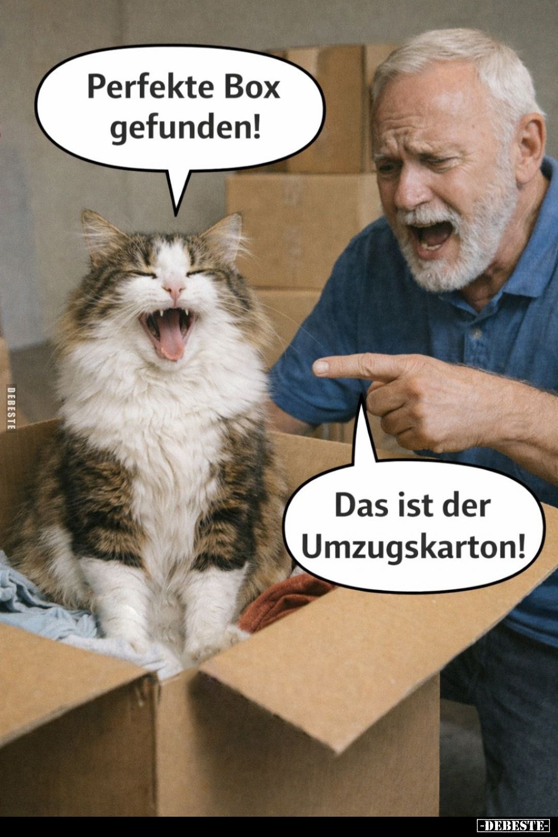 Perfekte Box gefunden!... - Lustige Bilder | DEBESTE.de