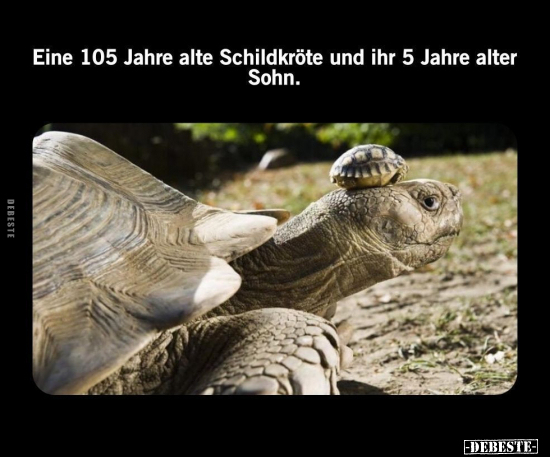 Eine 105 Jahre alte Schildkröte und.. - Lustige Bilder | DEBESTE.de