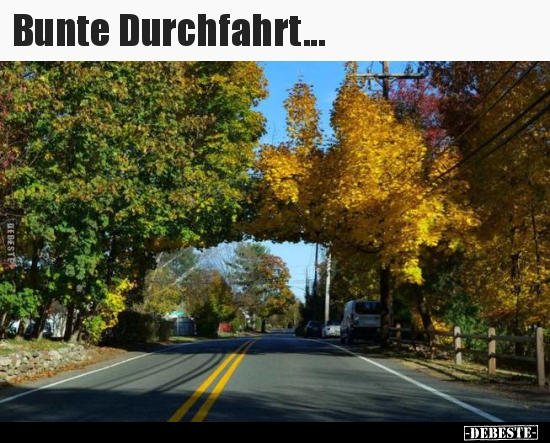 Bunte Durchfahrt... - Lustige Bilder | DEBESTE.de
